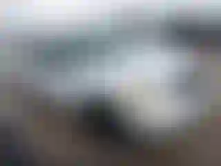 Vehicle Image- 2005 Ford Expedition