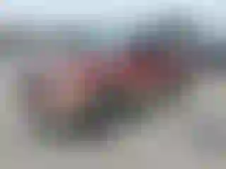 Vehicle Image- 2005 Ford Expedition