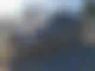 Vehicle Image- 2004 Ford Expedition
