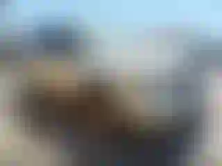 Vehicle Image- 2004 Ford Expedition