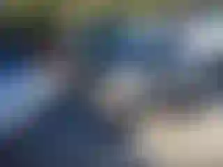 Vehicle Image- 2004 Ford Expedition