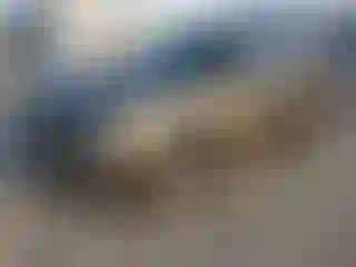 Vehicle Image- 2008 Ford Expedition