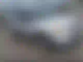 Vehicle Image- 2011 Ford Explorer