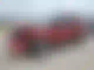 Vehicle Image- 2011 Ford Explorer