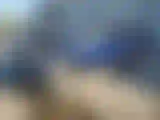 Vehicle Image- 2011 Ford Explorer