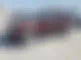 Vehicle Image- 2012 Ford Explorer