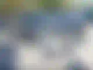 Vehicle Image- 2011 Ford Explorer