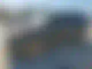 Vehicle Image- 2011 Ford Explorer