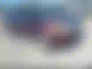 Vehicle Image- 2011 Ford Explorer