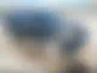 Vehicle Image- 2012 Ford Explorer