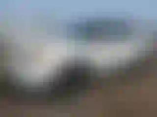 Vehicle Image- 2011 Ford Explorer