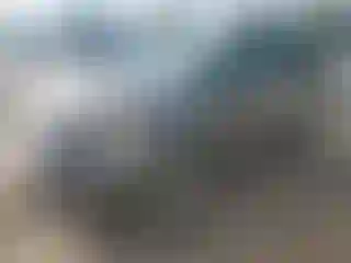 Vehicle Image- 2012 Ford Explorer