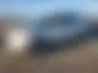 Vehicle Image- 2012 Ford Explorer