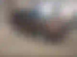 Vehicle Image- 2012 Ford Explorer