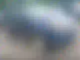 Vehicle Image- 2012 Ford Explorer