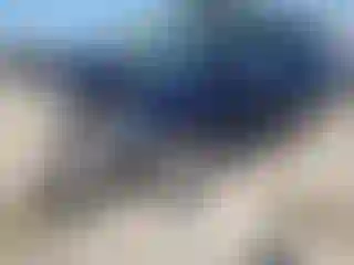 Vehicle Image- 2012 Ford Explorer