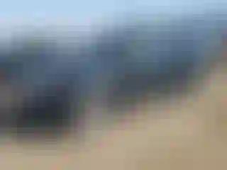 Vehicle Image- 2011 Ford Explorer