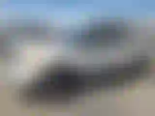 Vehicle Image- 2012 Ford Explorer