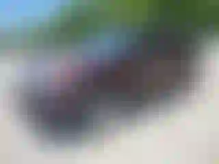 Vehicle Image- 2011 Ford Explorer