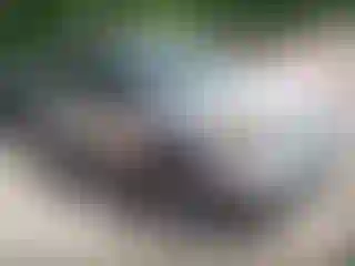 Vehicle Image- 2012 Ford Explorer