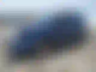 Vehicle Image- 2012 Ford Explorer
