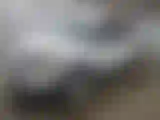 Vehicle Image- 2011 Ford Explorer