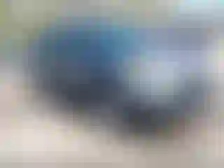 Vehicle Image- 2012 Ford Explorer