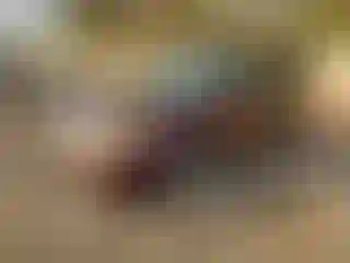 Vehicle Image- 2011 Ford Explorer