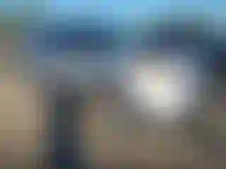 Vehicle Image- 2011 Ford Explorer