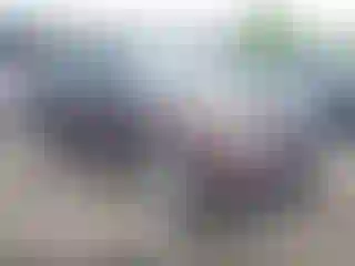 Vehicle Image- 2011 Ford Explorer