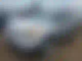 Vehicle Image- 2011 Ford Explorer