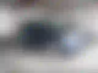 Vehicle Image- 2011 Ford Explorer
