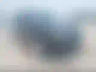 Vehicle Image- 2010 Ford Expedition