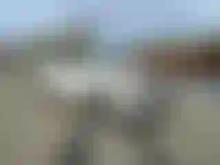 Vehicle Image- 2018 Ford Expedition