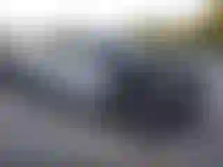 Vehicle Image- 2025 Ford Expedition
