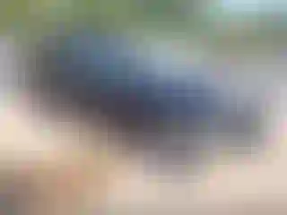 Vehicle Image- 2025 Ford Expedition