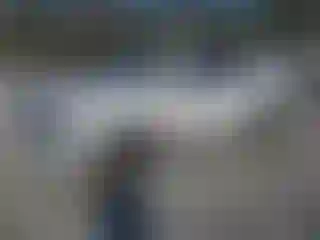 Vehicle Image- 2021 Ford Expedition