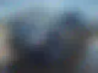 Vehicle Image- 2019 Ford Expedition