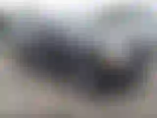 Vehicle Image- 2017 Ford Expedition