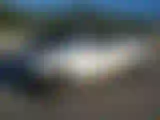 Vehicle Image- 2019 Ford Expedition