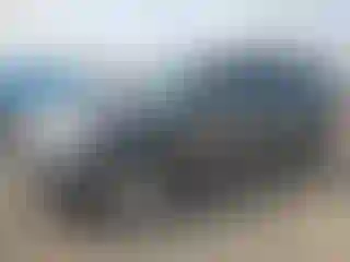 Vehicle Image- 2020 Ford Expedition