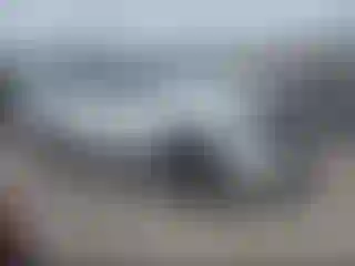 Vehicle Image- 2025 Ford Expedition