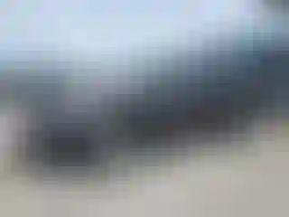 Vehicle Image- 2024 Ford Expedition