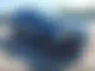 Vehicle Image- 2020 Ford Expedition