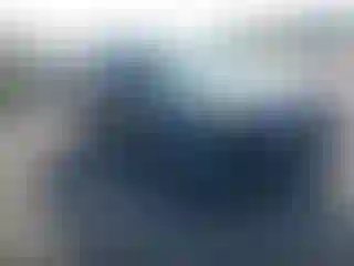 Vehicle Image- 2019 Ford Expedition