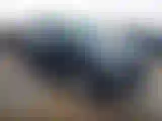 Vehicle Image- 2024 Ford Expedition