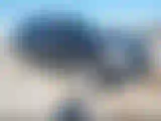 Vehicle Image- 2023 Ford Expedition