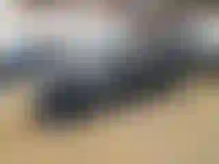 Vehicle Image- 2024 Ford Expedition
