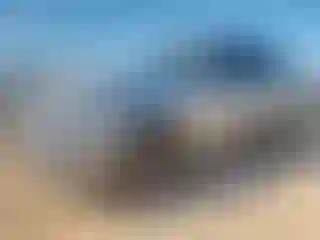 Vehicle Image- 2021 Ford Expedition