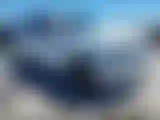 Vehicle Image- 2020 Ford Expedition